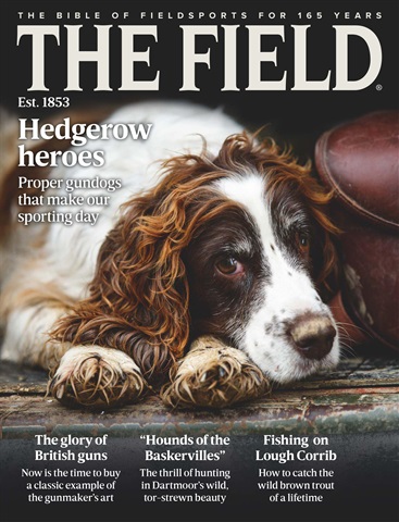 The Field issue March 2018