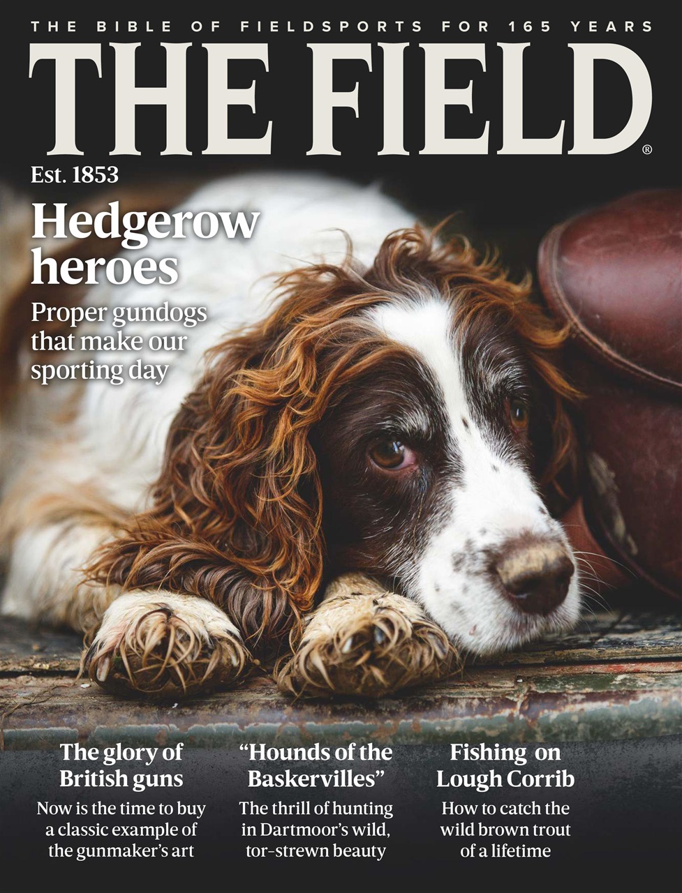 The Field Preview Pages