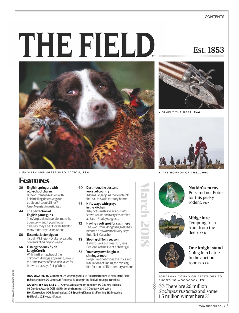 The Field Preview Pages