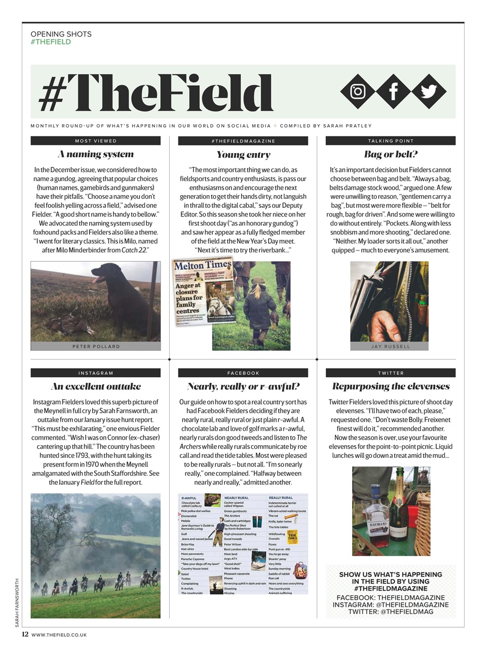 The Field Preview Pages