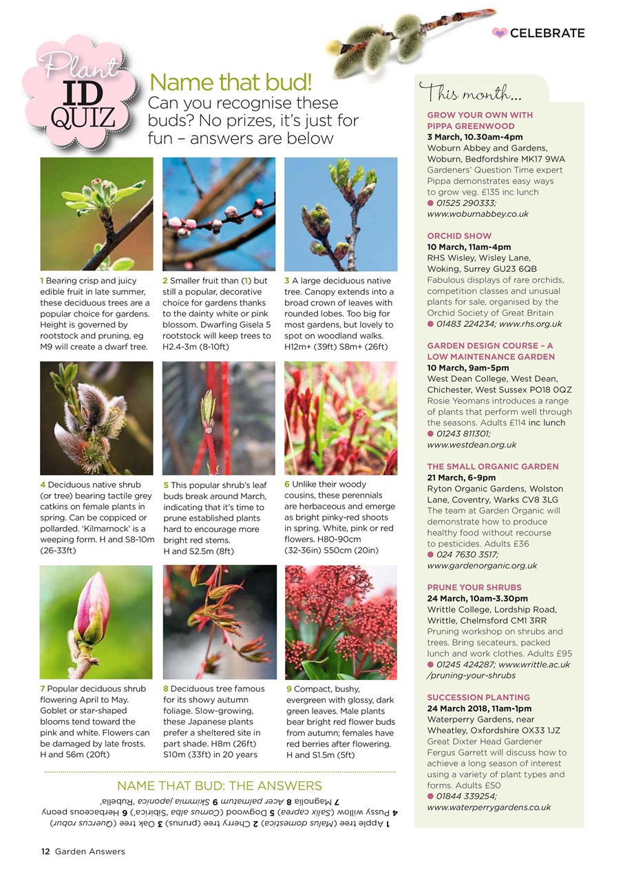 Garden Answers Preview Pages