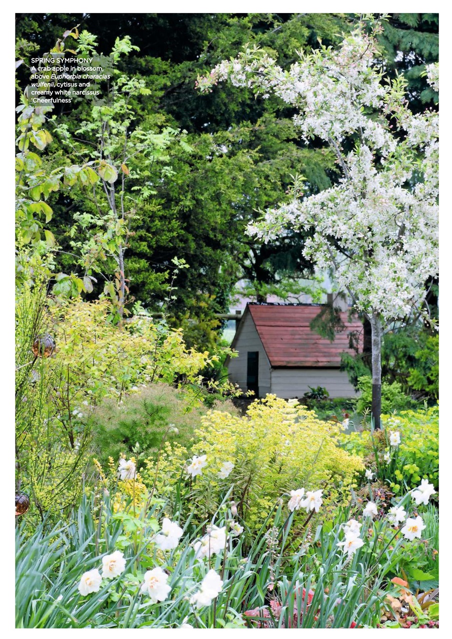 Garden Answers Preview Pages