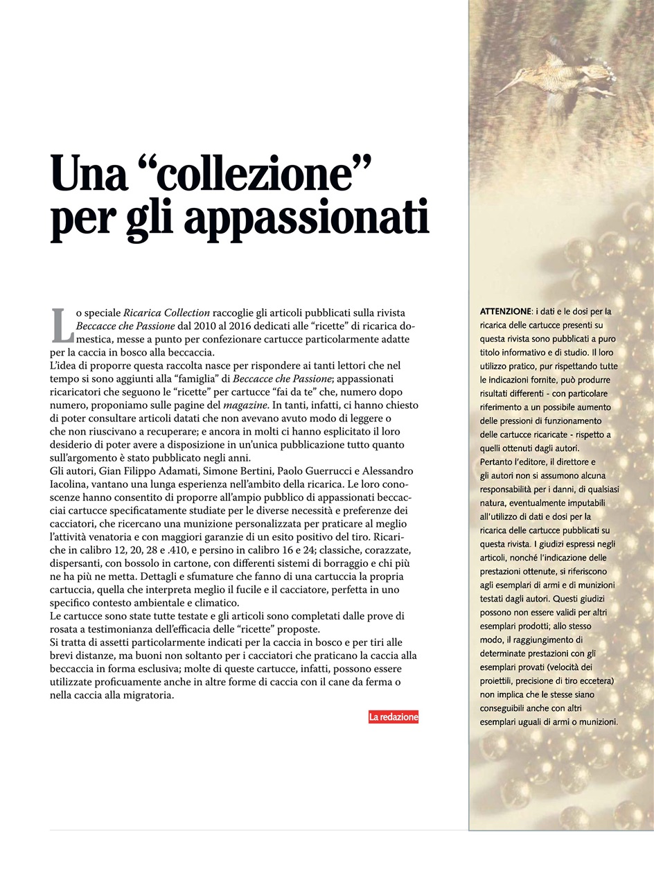 BECCACCE CHE PASSIONE Preview Pages