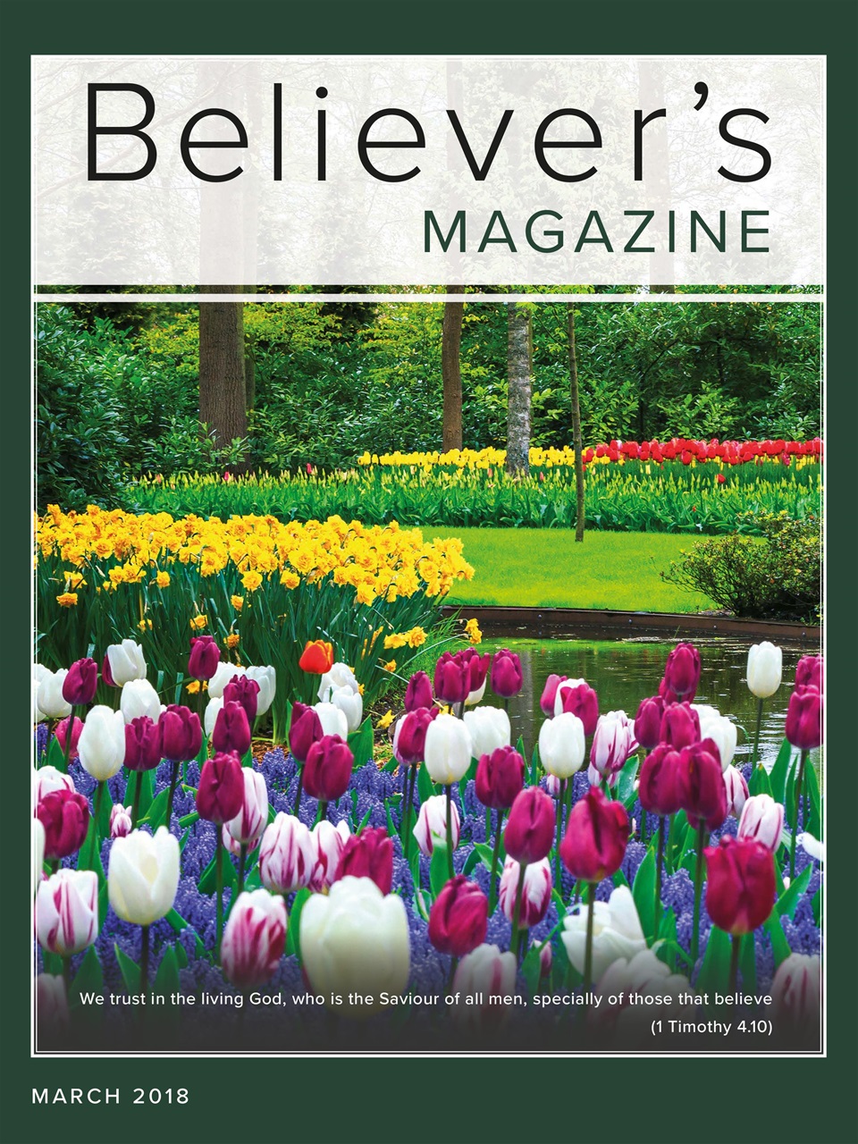 Believer Magazine Preview Pages