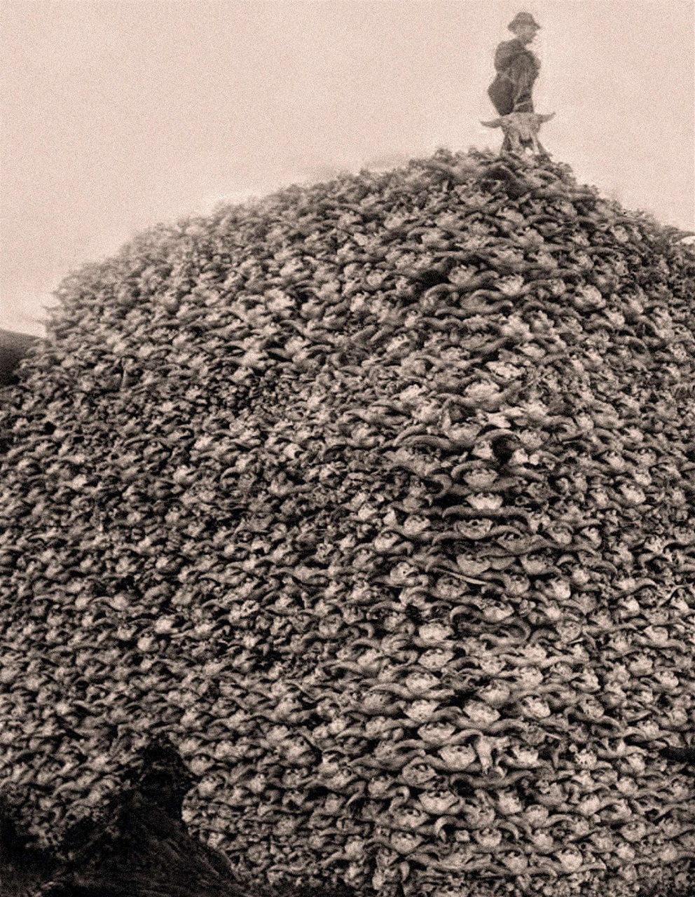 BBC History Revealed Magazine Preview Pages