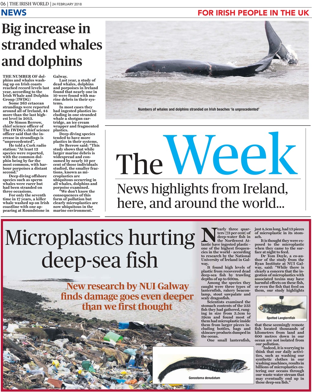 Irish World Preview Pages