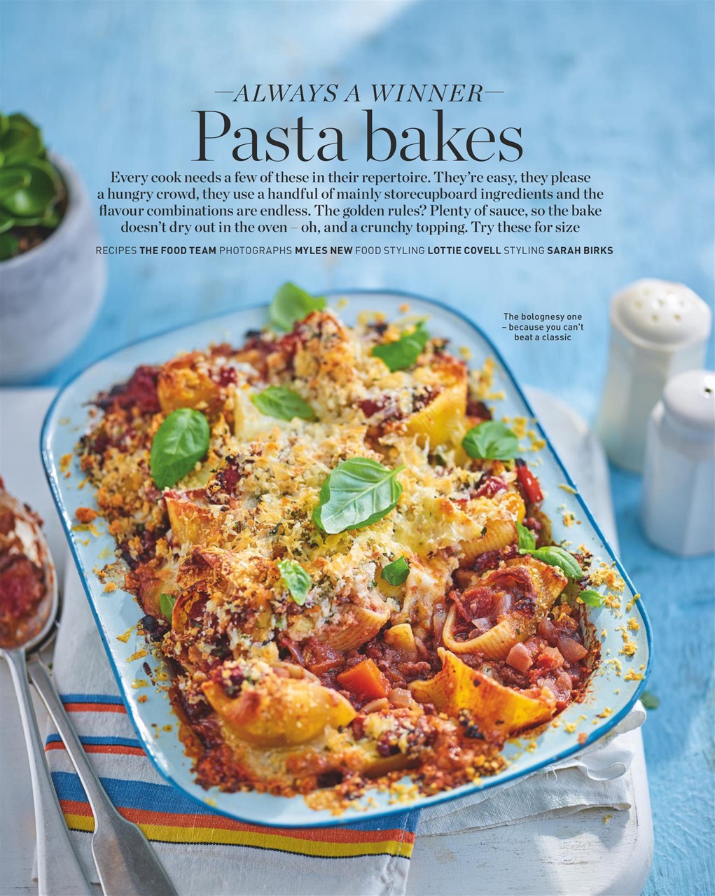 delicious. Magazine Preview Pages