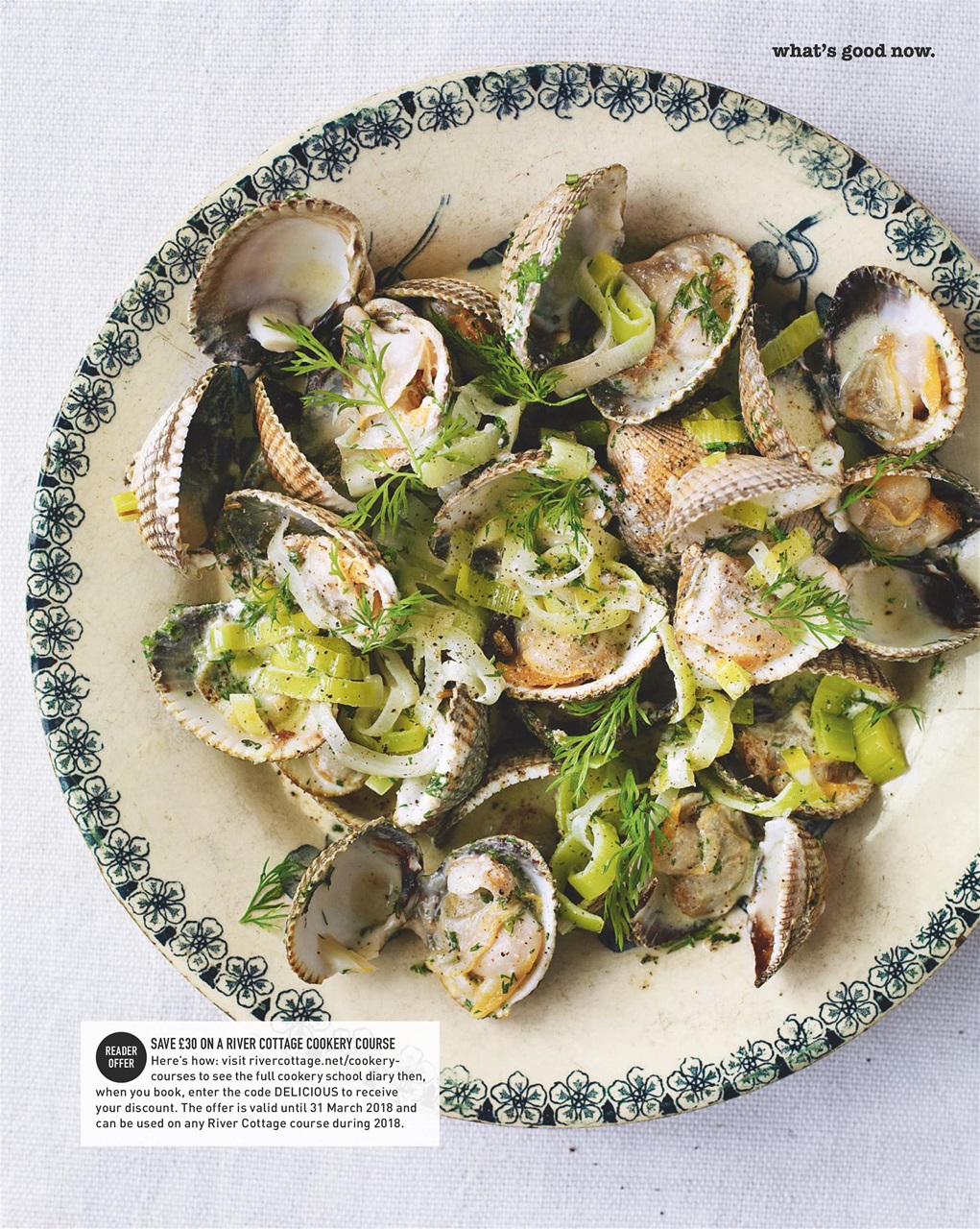 delicious. Magazine Preview Pages