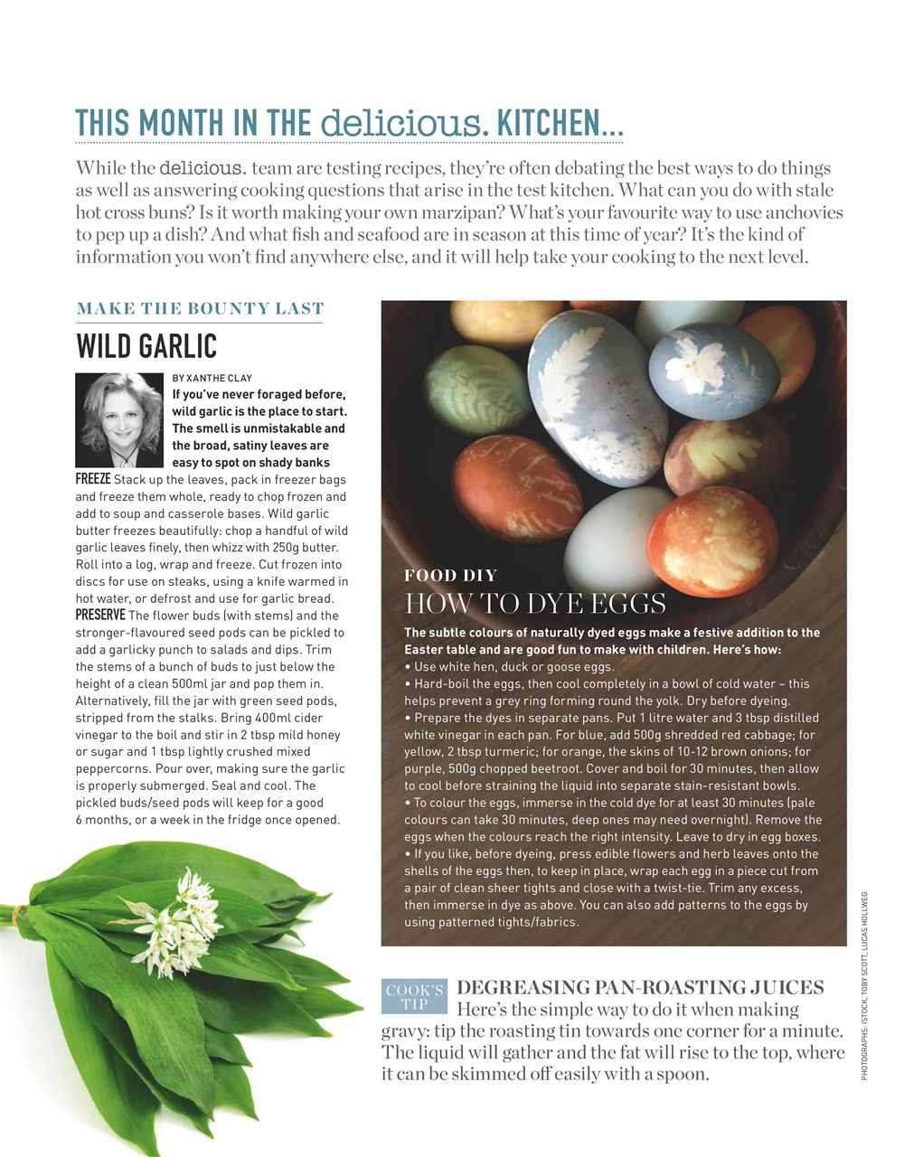 delicious. Magazine Preview Pages