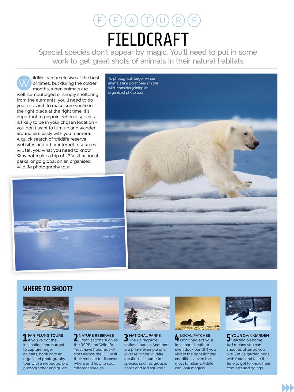 Photography Week Preview Pages