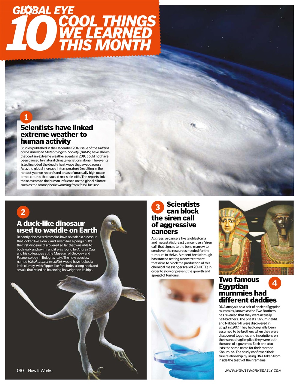 How It Works Preview Pages