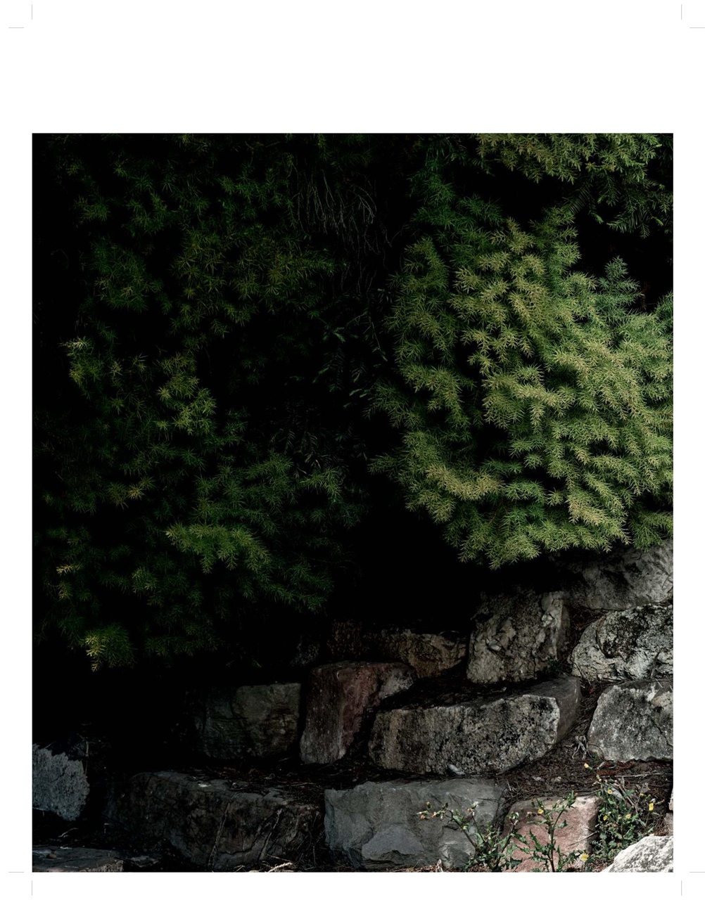 Another Man Magazine Preview Pages