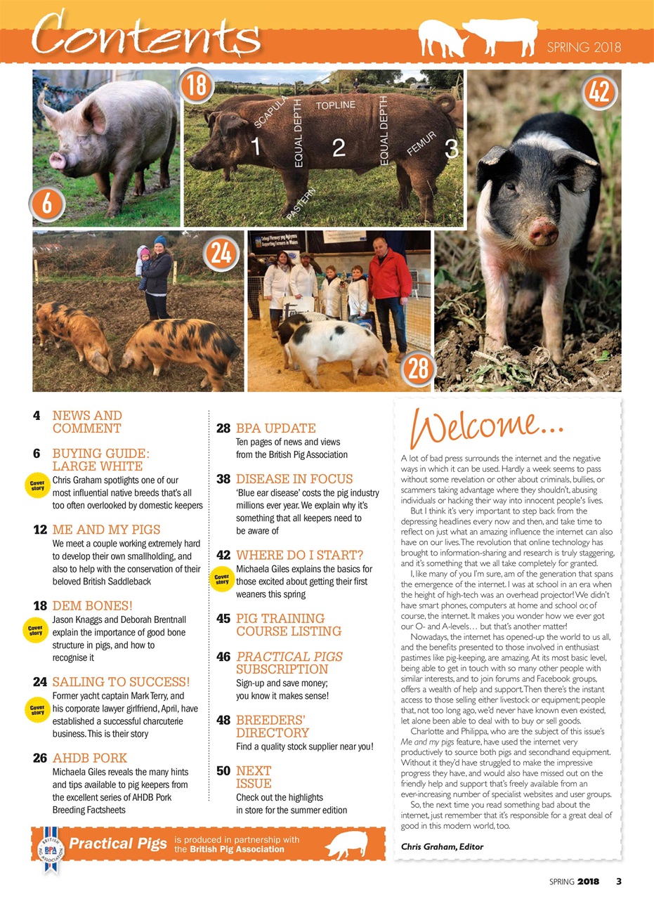 Practical Pigs Preview Pages