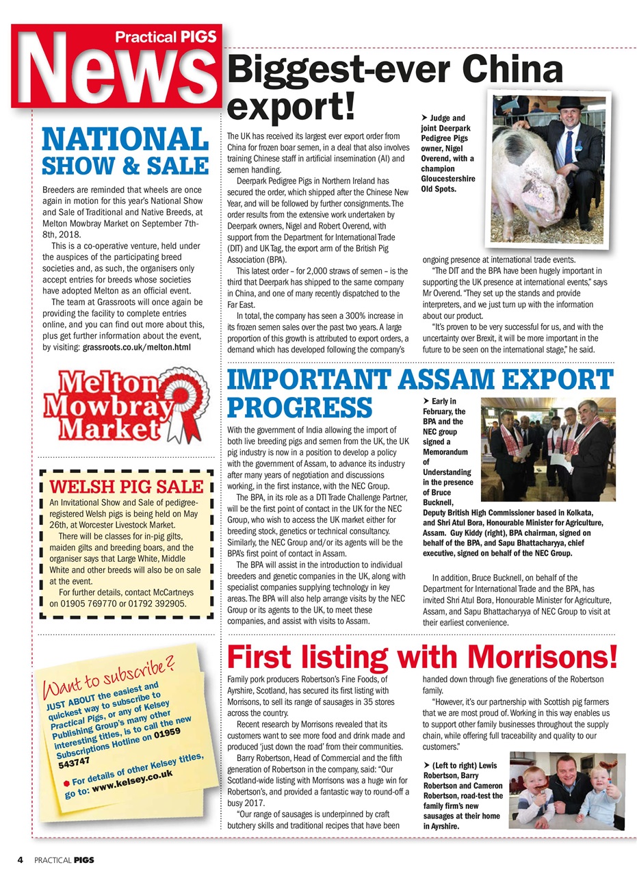 Practical Pigs Preview Pages