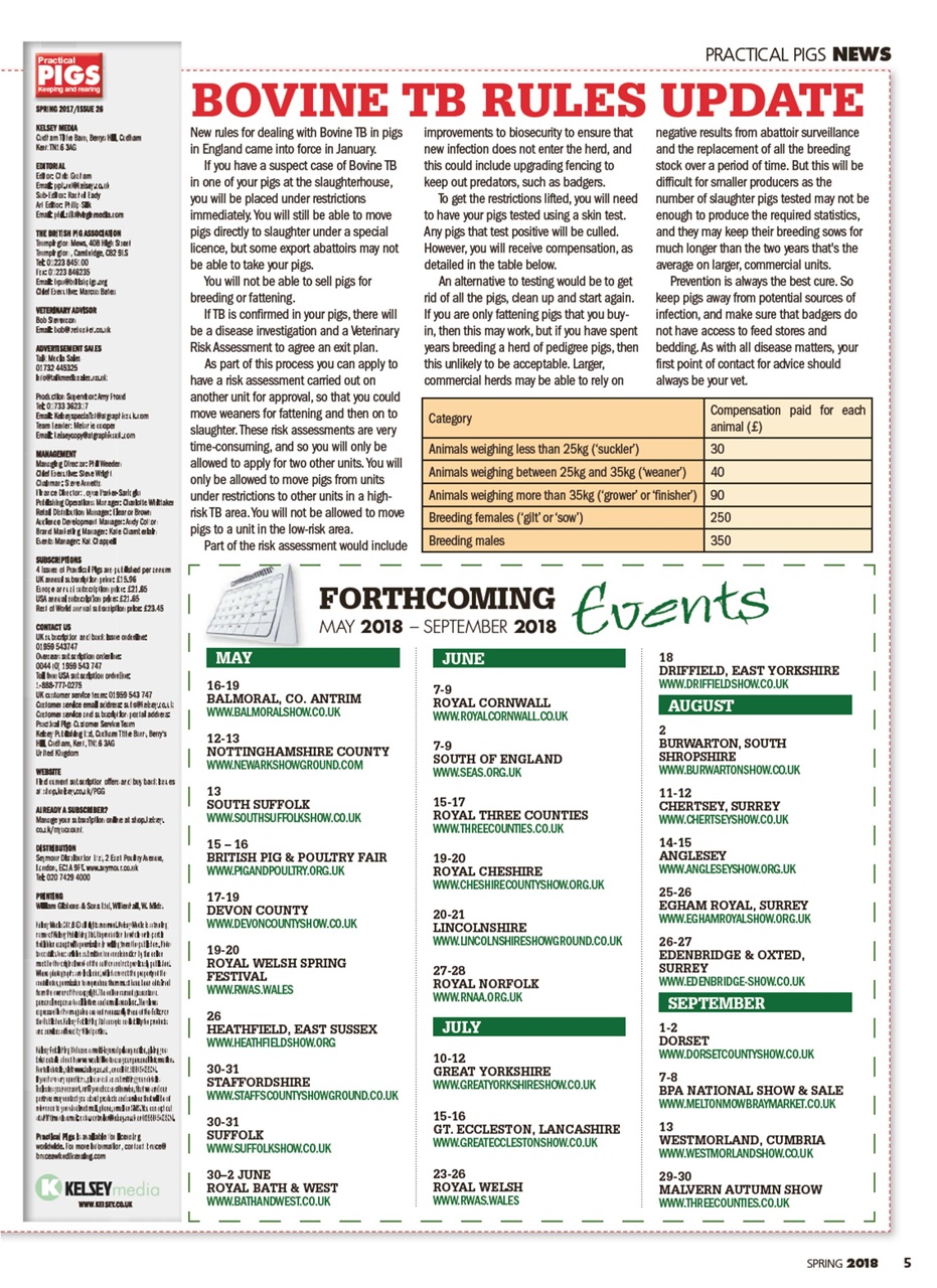 Practical Pigs Preview Pages