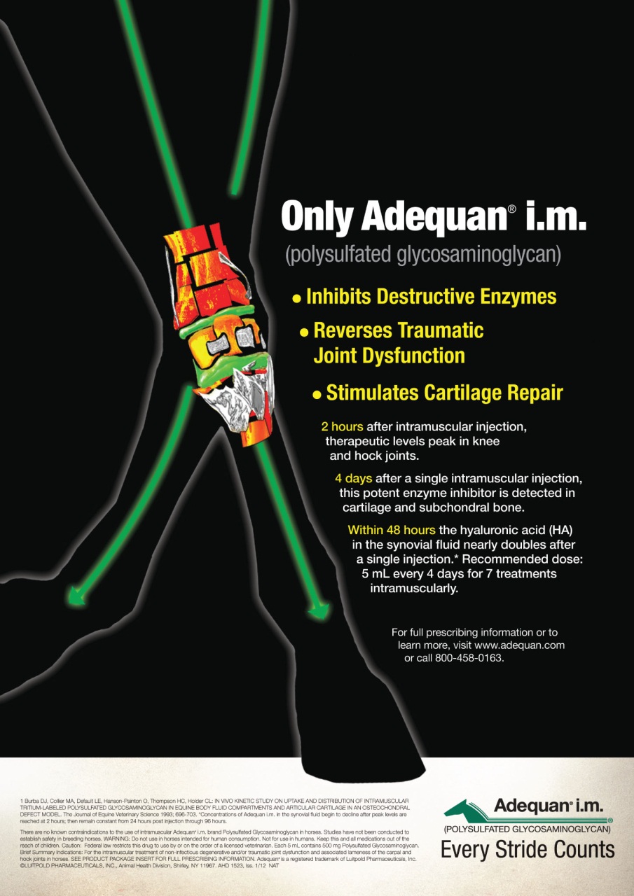 North American Trainer Magazine - horse racing Preview Pages