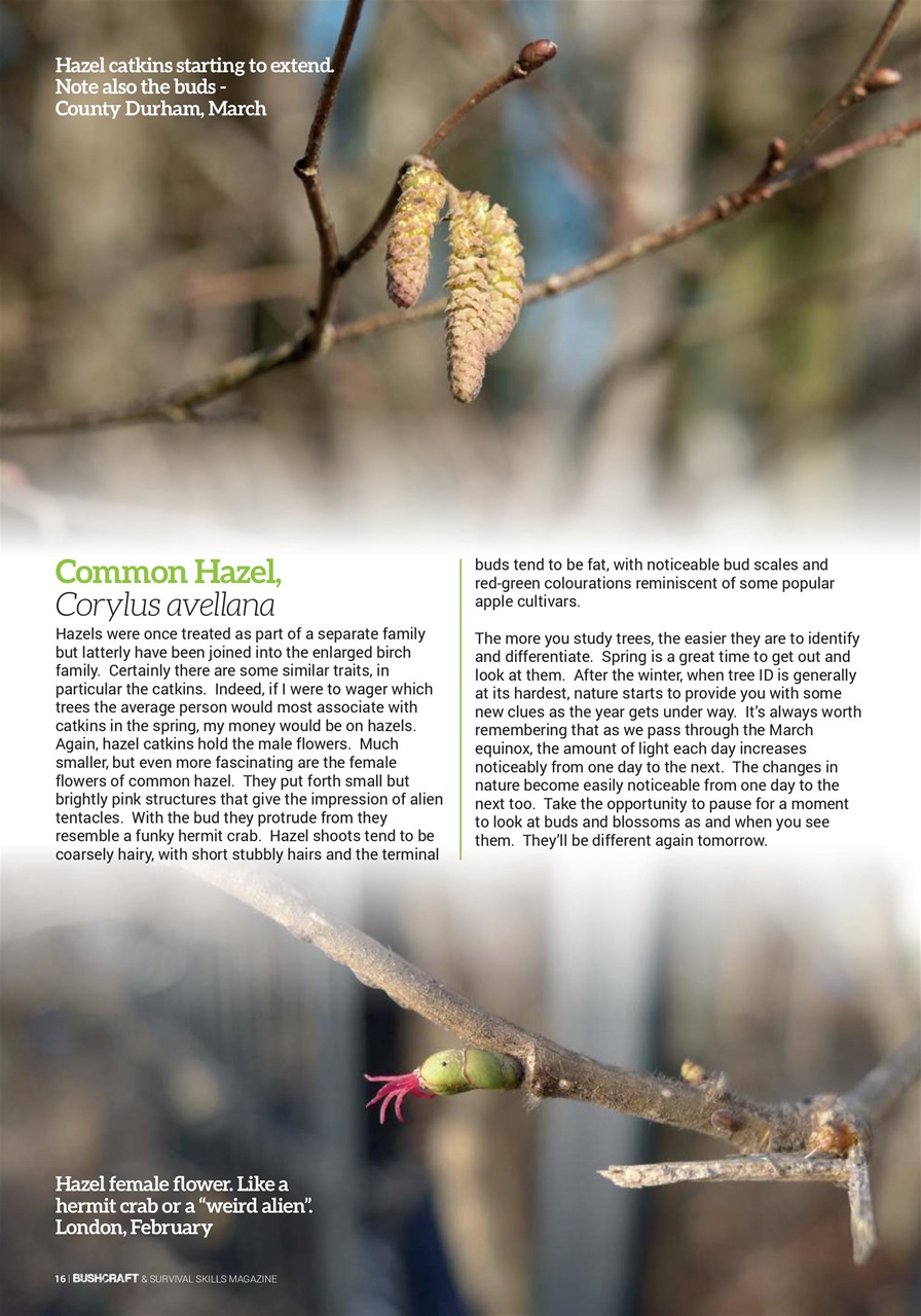 Bushcraft & Survival Skills Magazine Preview Pages