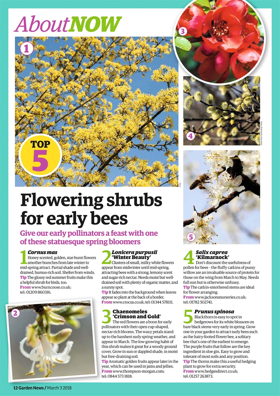 Garden News Preview Pages