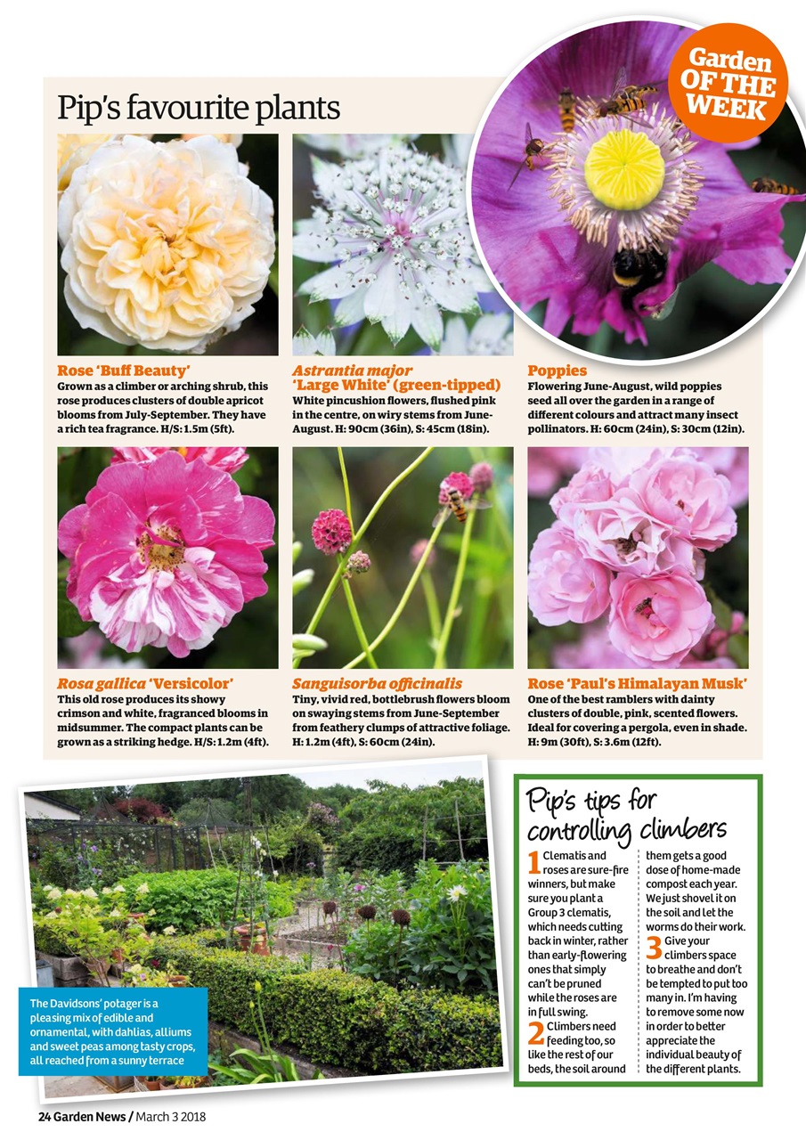 Garden News Preview Pages