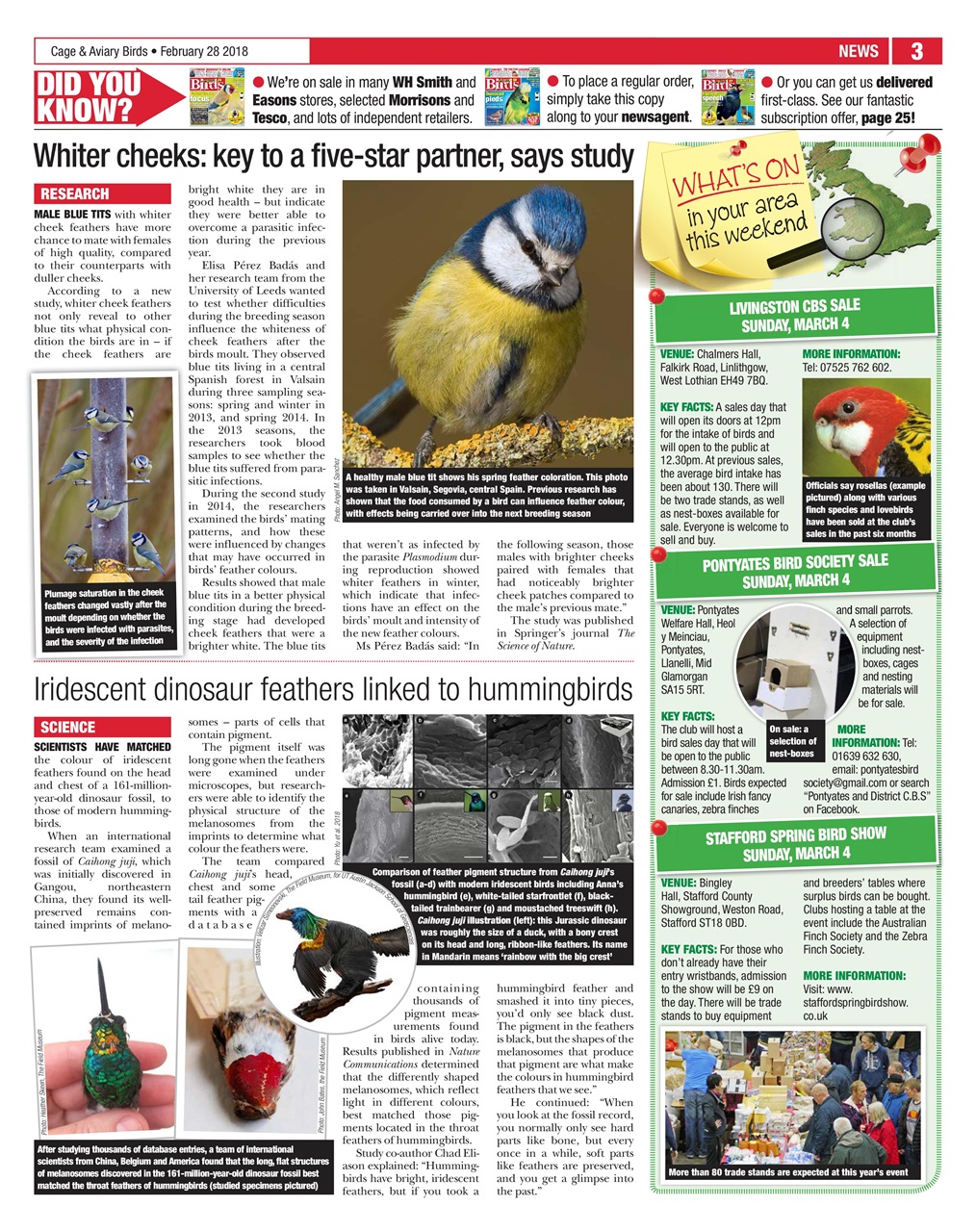 Cage & Aviary Birds Preview Pages