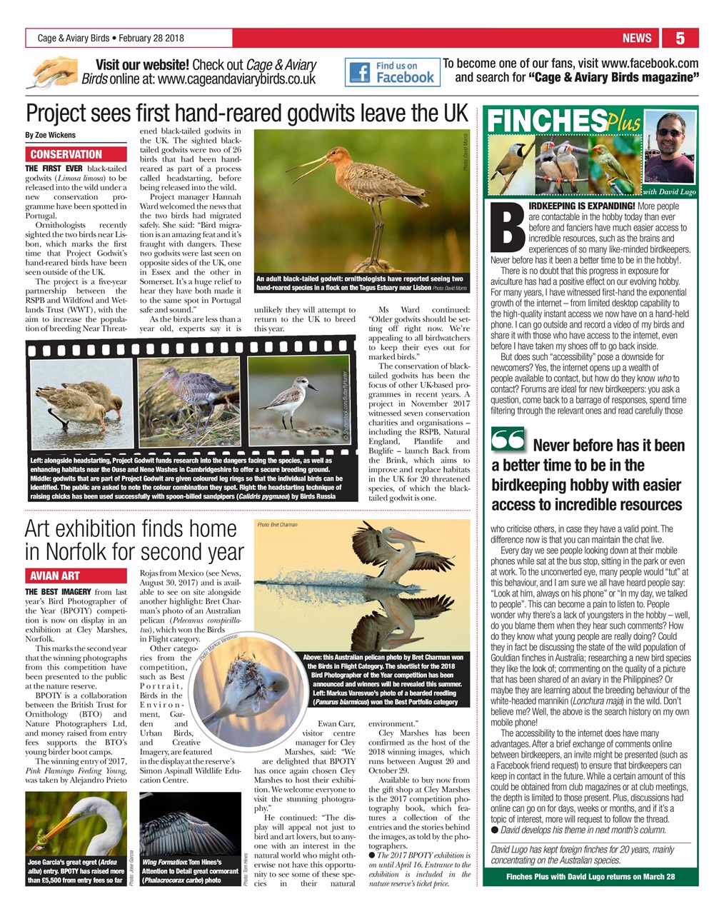 Cage & Aviary Birds Preview Pages