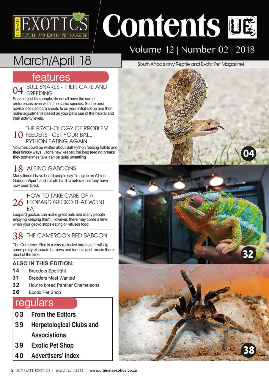 Ultimate Exotics Preview Pages