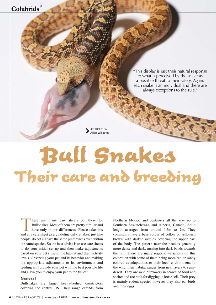 Ultimate Exotics Preview Pages