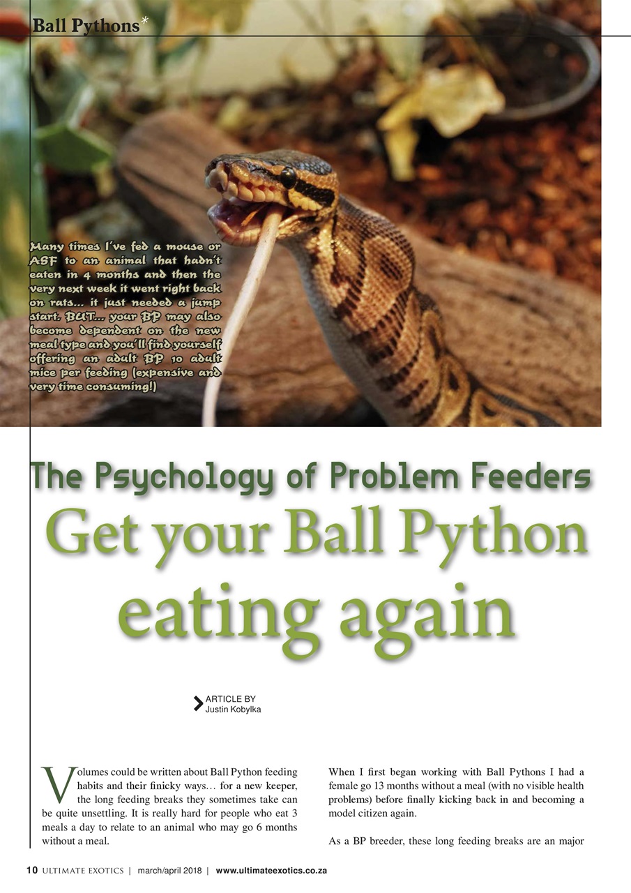 Ultimate Exotics Preview Pages