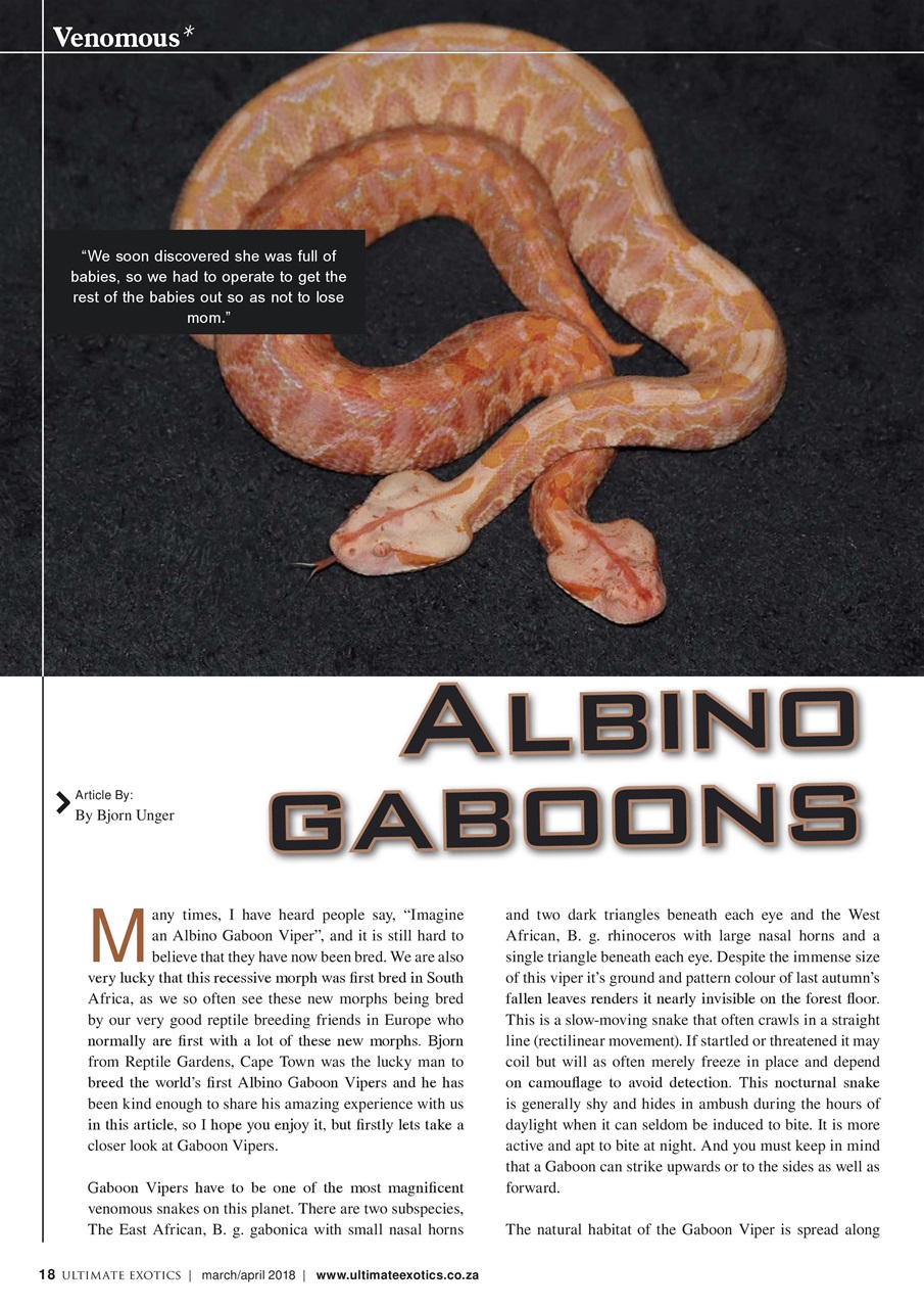 Ultimate Exotics Preview Pages