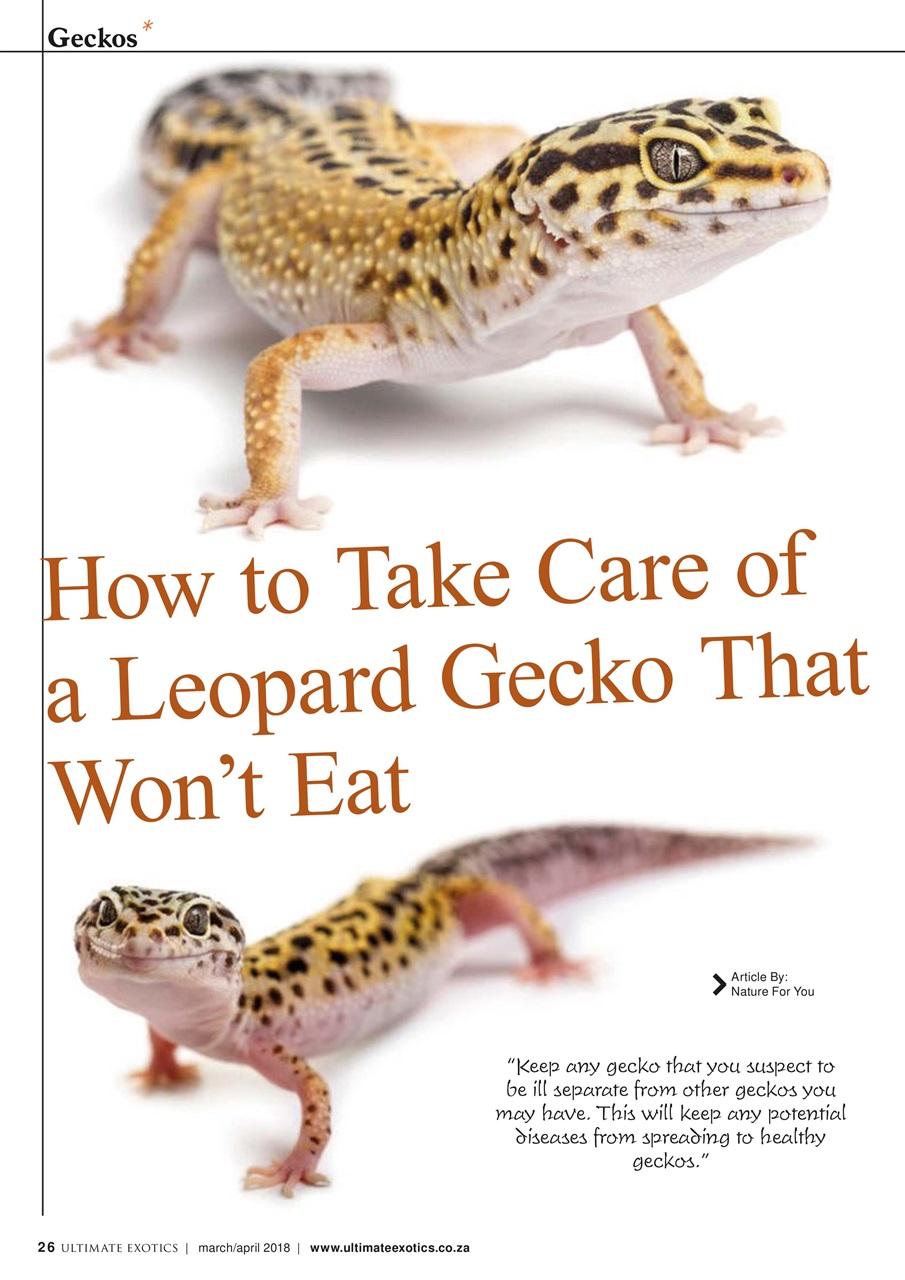 Ultimate Exotics Preview Pages