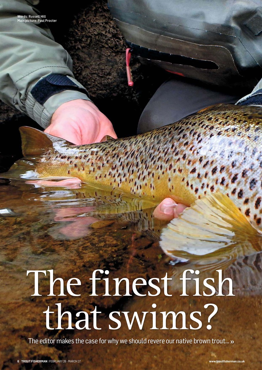 Trout Fisherman Preview Pages