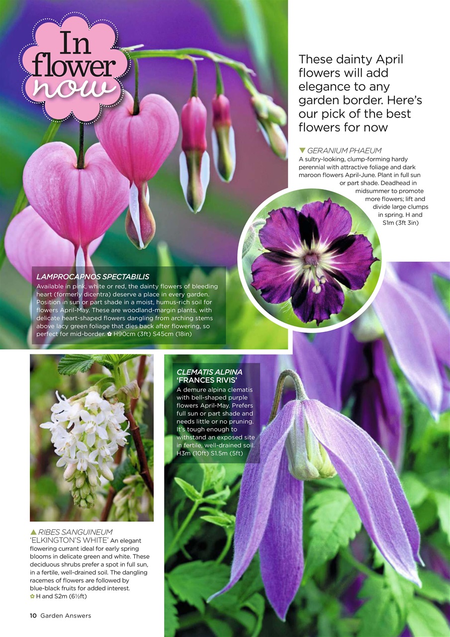 Garden Answers Preview Pages