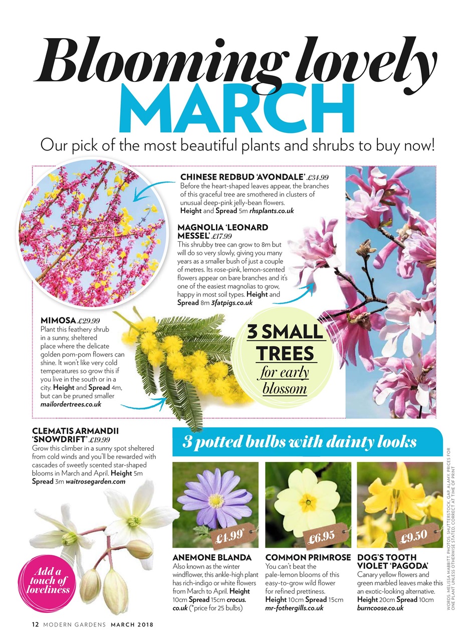 Modern Gardens Preview Pages