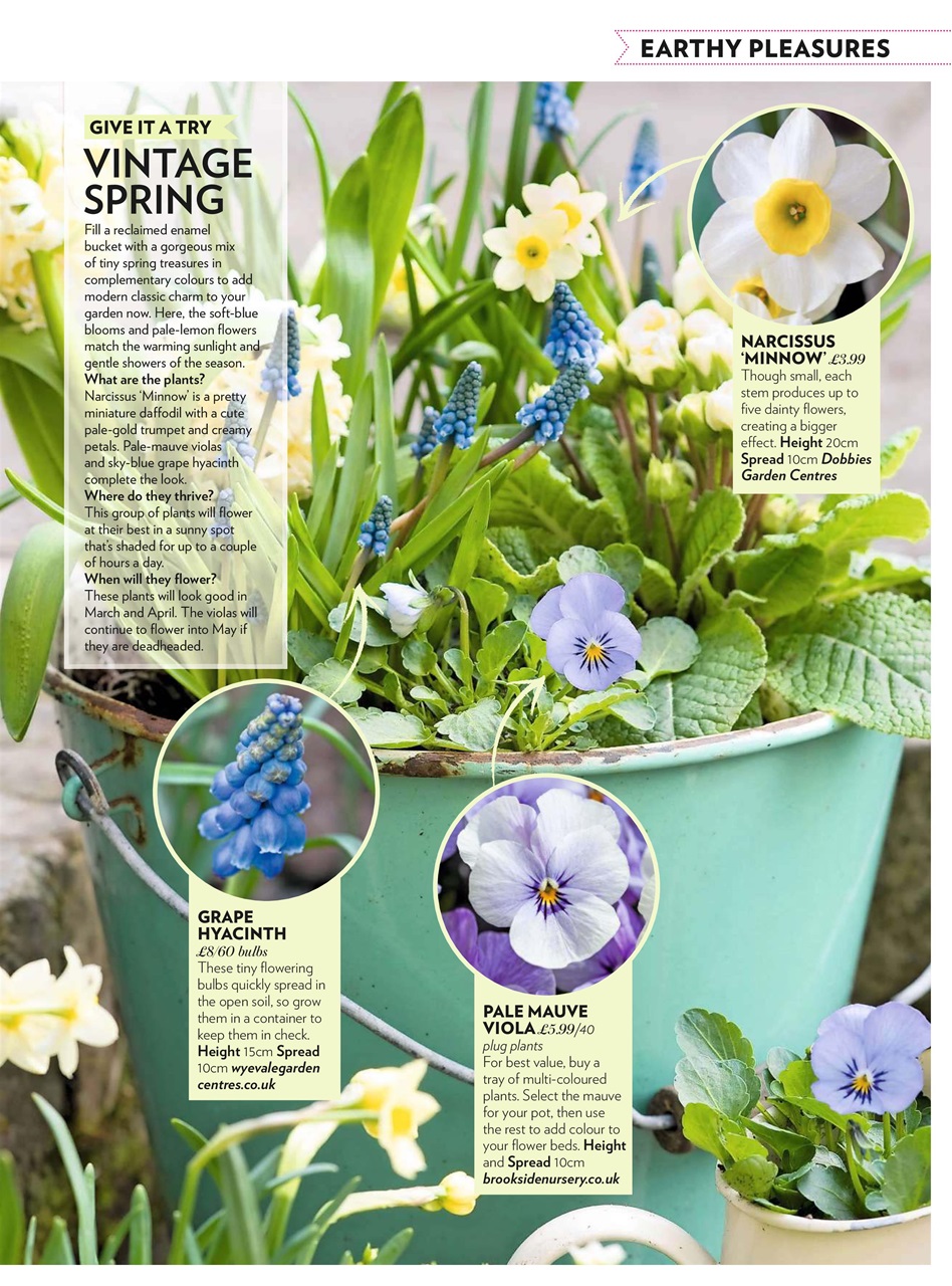 Modern Gardens Preview Pages