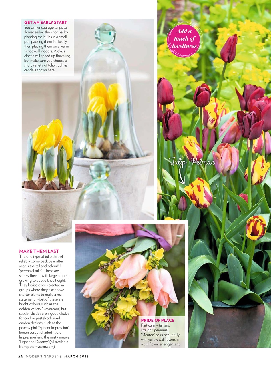 Modern Gardens Preview Pages