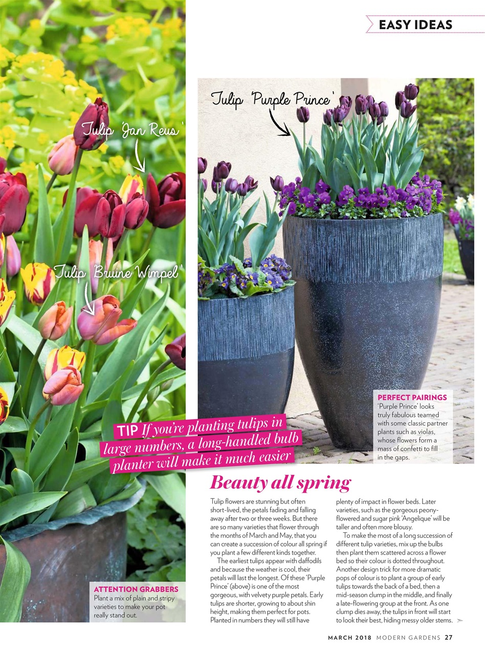 Modern Gardens Preview Pages