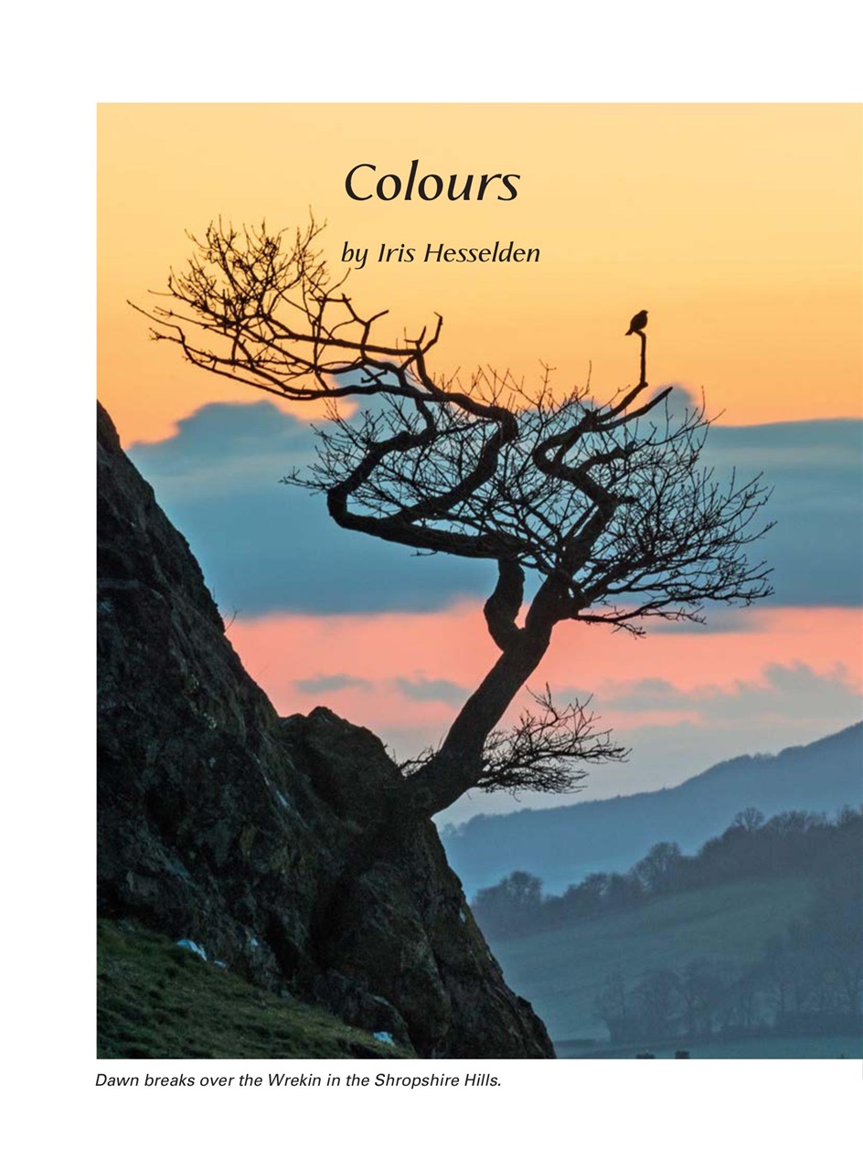 Evergreen Preview Pages