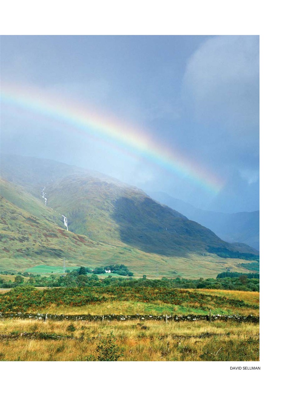 Evergreen Preview Pages