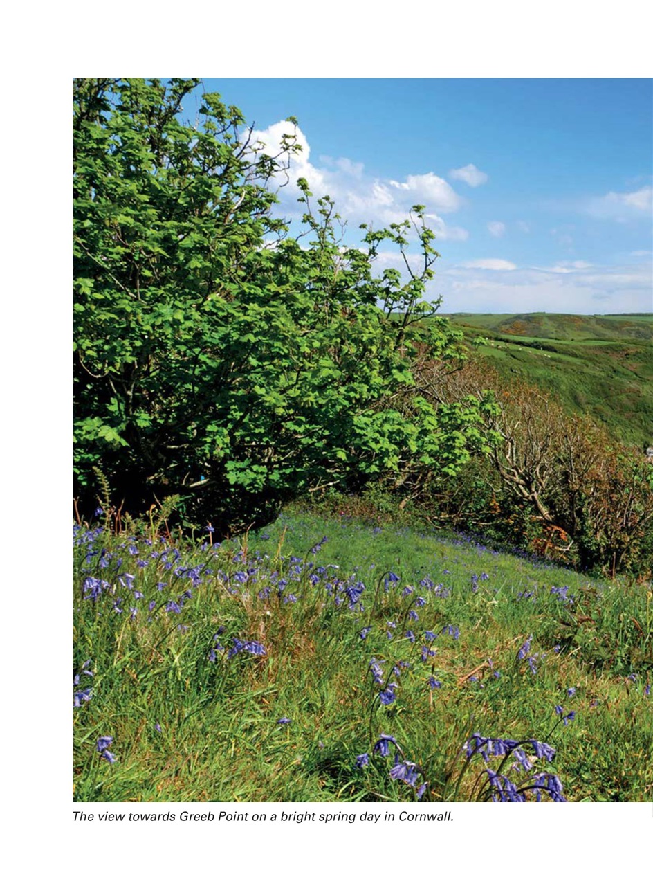 Evergreen Preview Pages