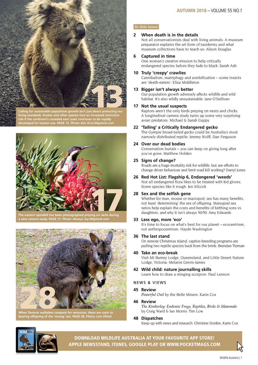 Wildlife Australia Preview Pages