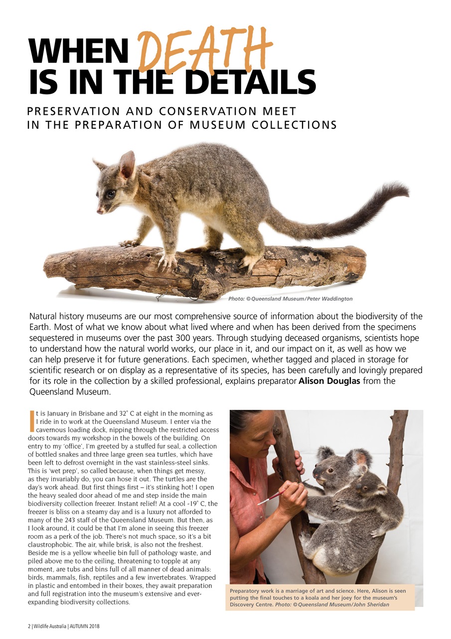Wildlife Australia Preview Pages