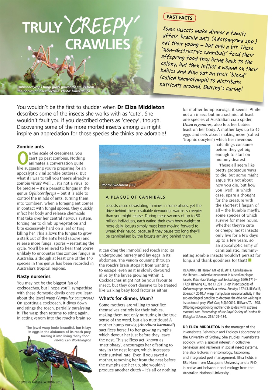 Wildlife Australia Preview Pages