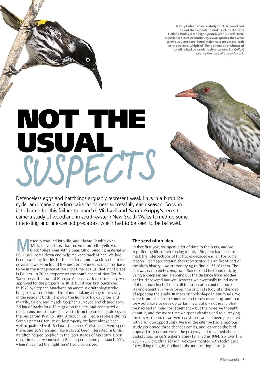 Wildlife Australia Preview Pages