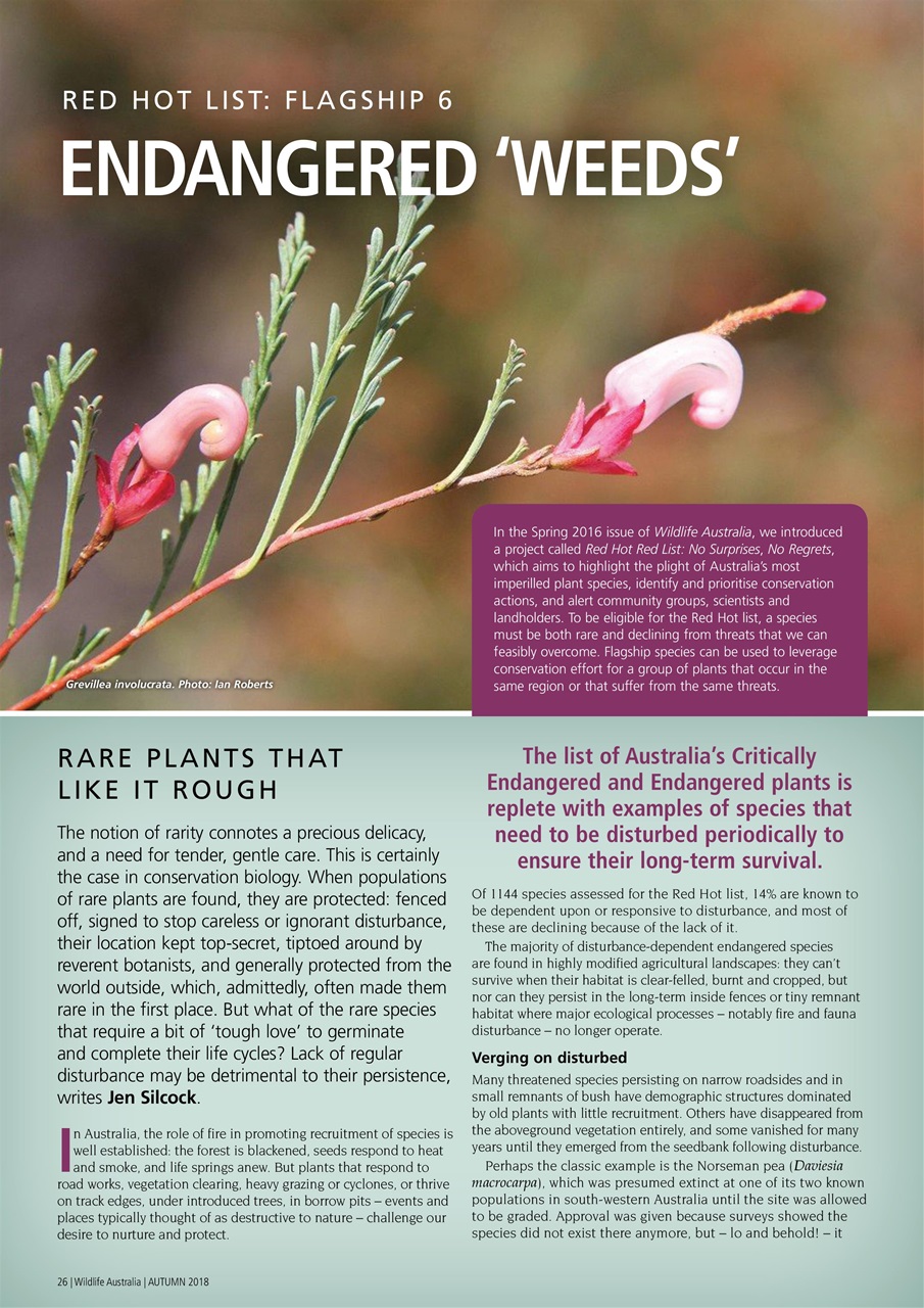 Wildlife Australia Preview Pages