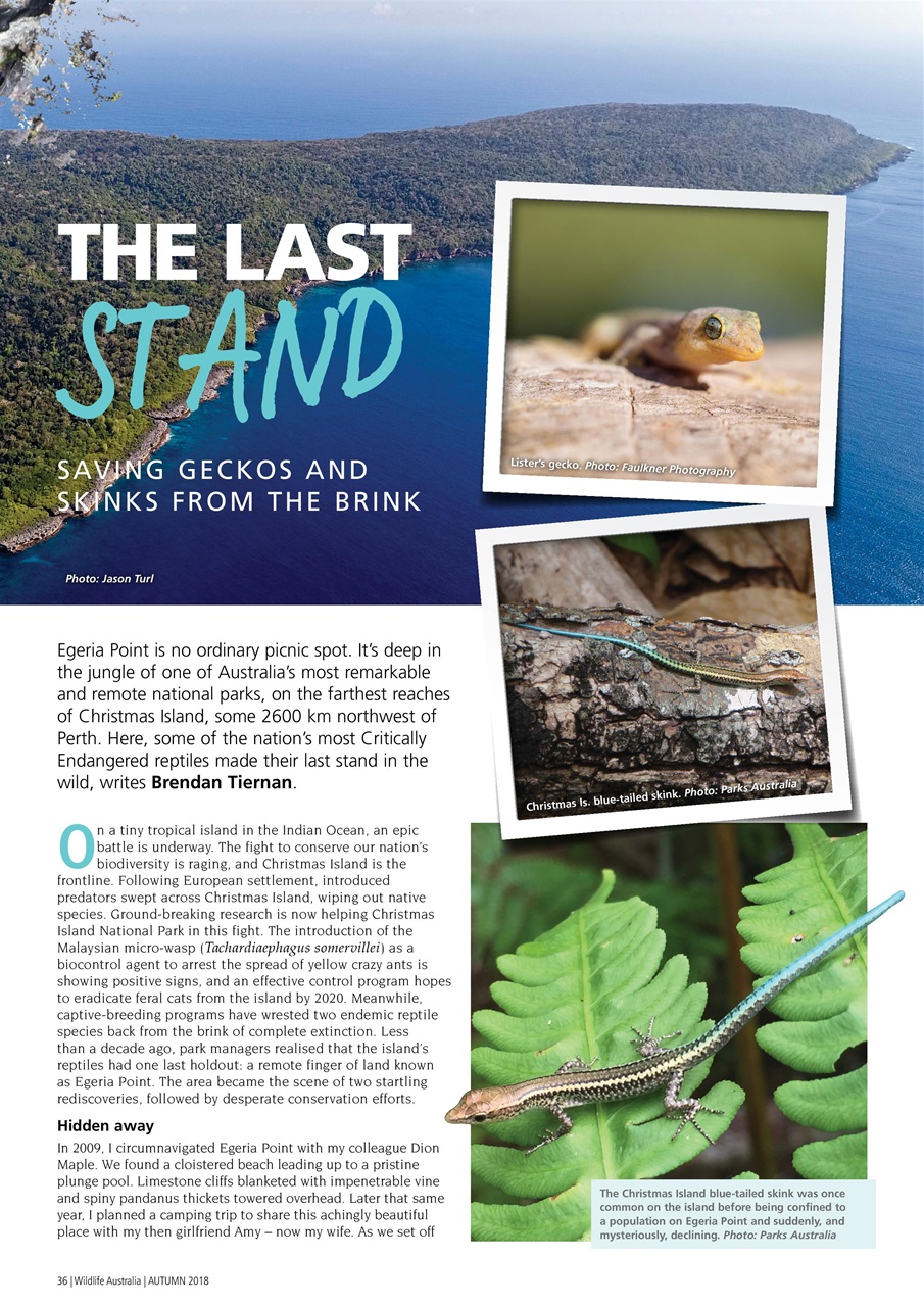 Wildlife Australia Preview Pages