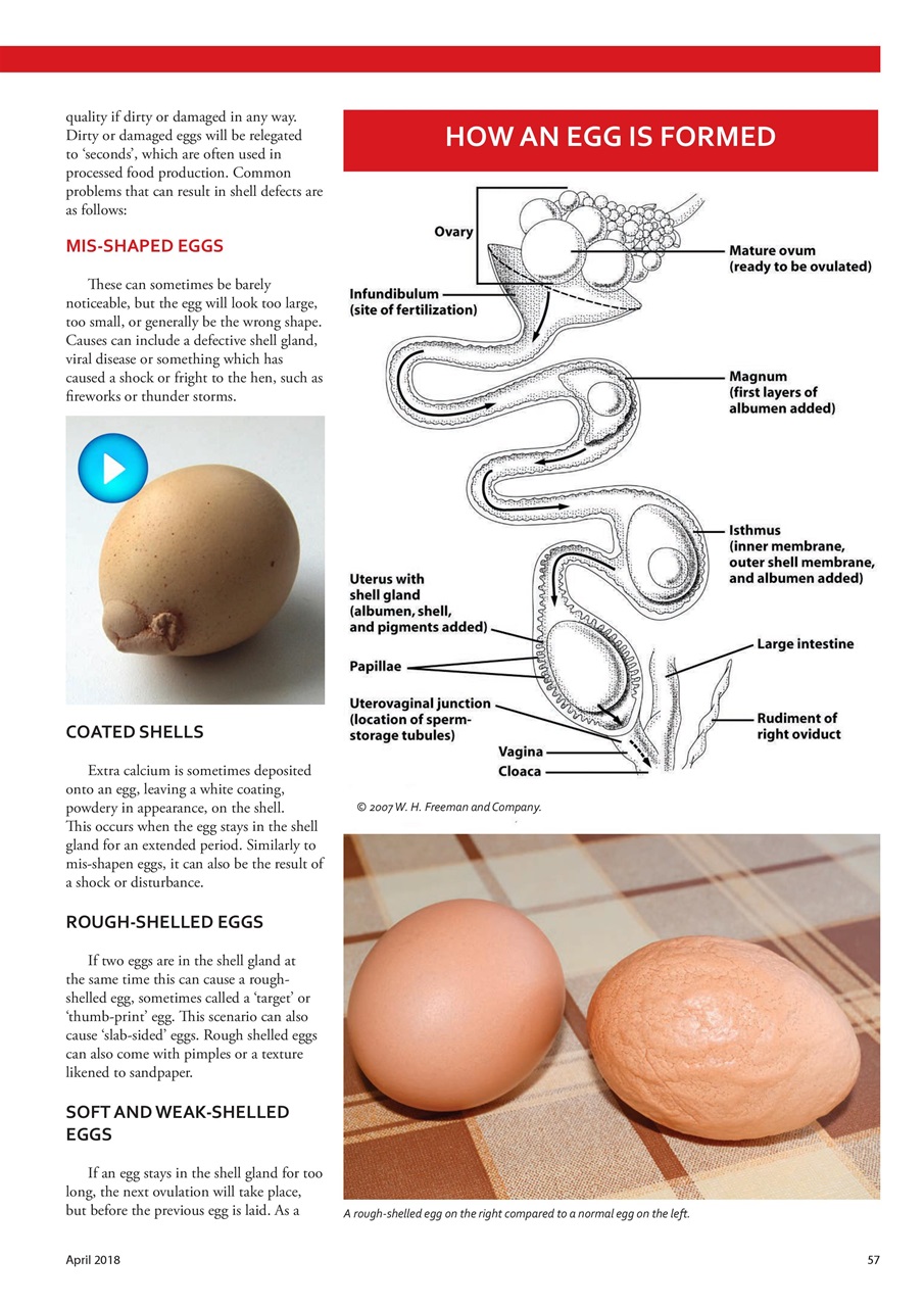 Home Farmer Magazine Preview Pages