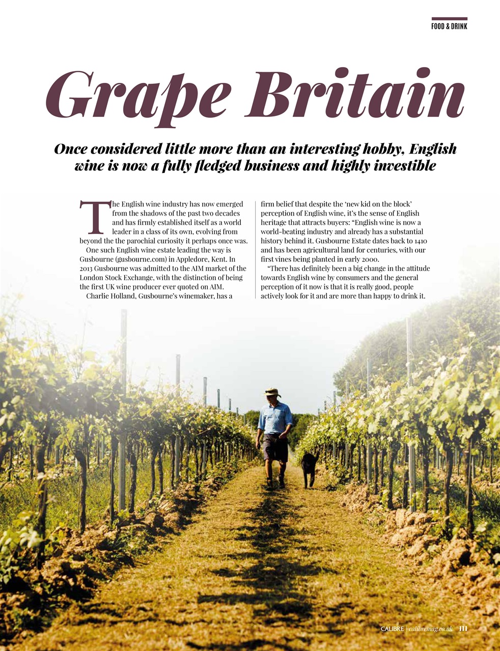 CALIBRE Preview Pages