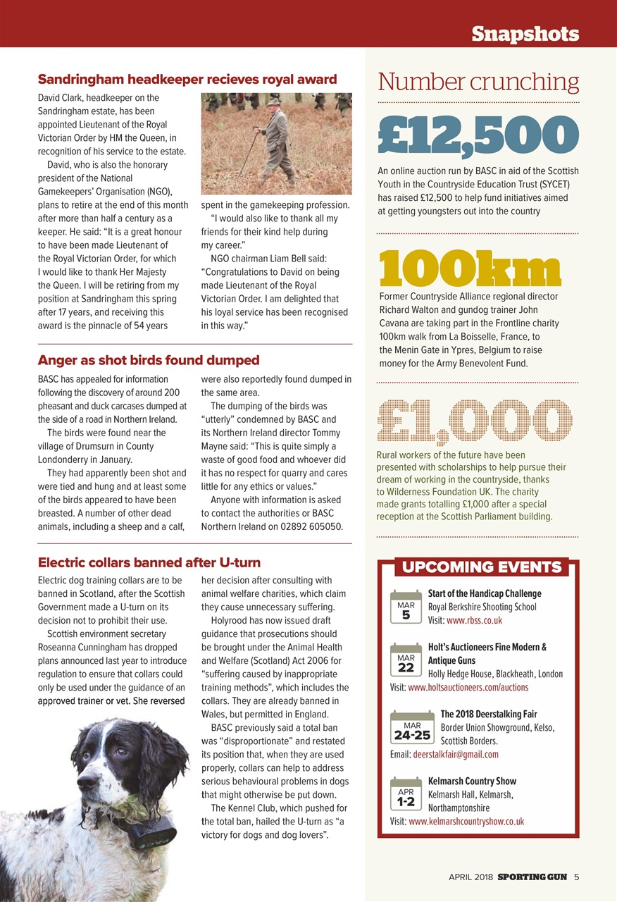 Sporting Gun Preview Pages