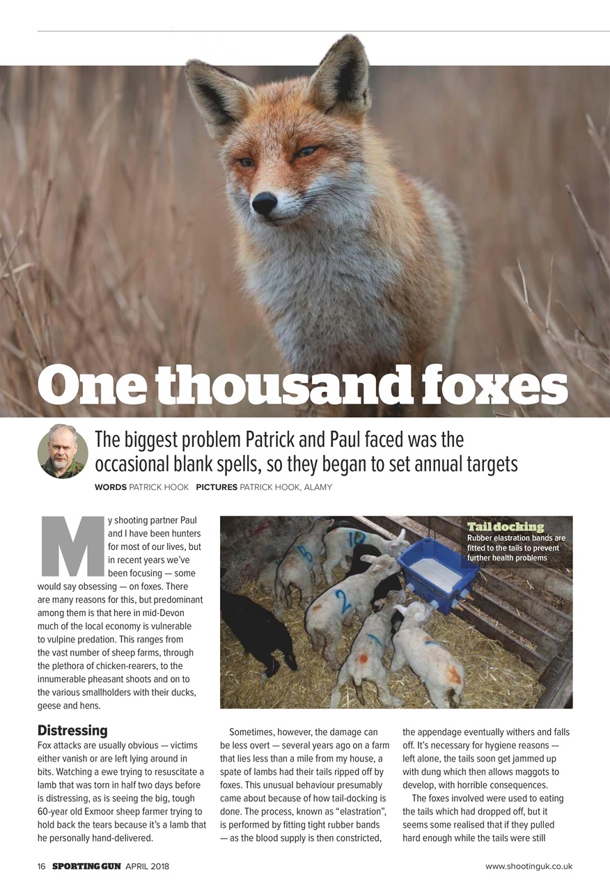 Sporting Gun Preview Pages