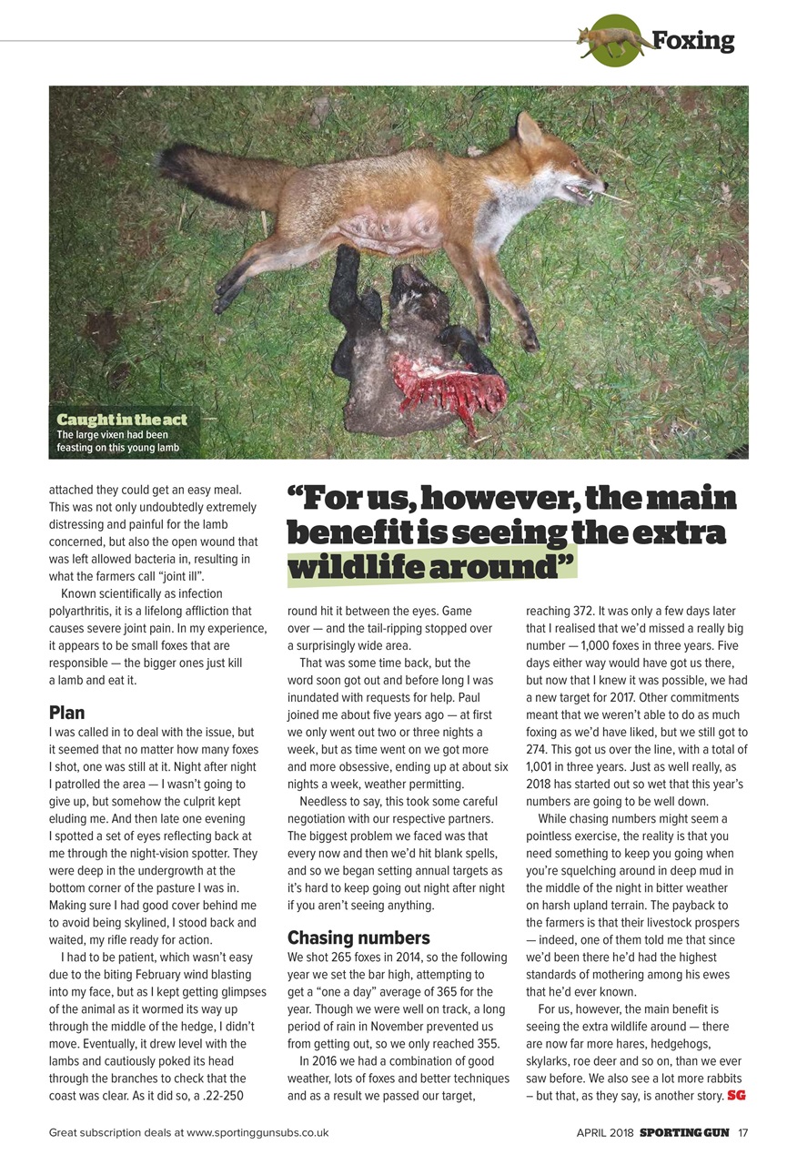 Sporting Gun Preview Pages